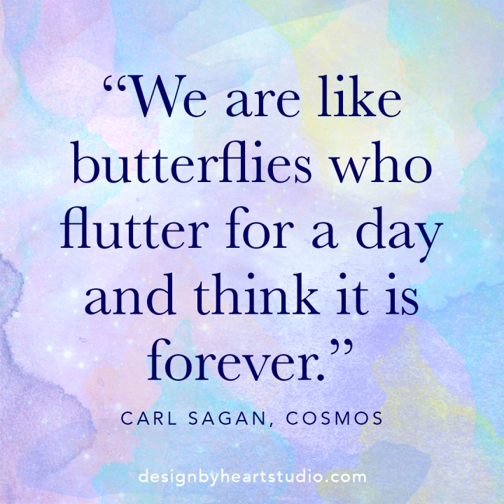 butterfly-quote